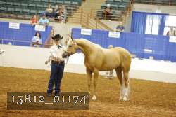 15R12_01174 thumbnail