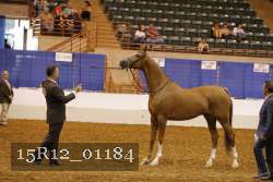 15R12_01184 thumbnail