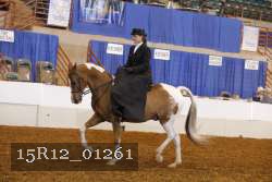 15R12_01261 thumbnail