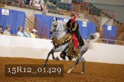 15R12_01429 thumbnail