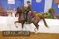 15R12_01638 thumbnail