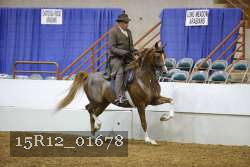 15R12_01678 thumbnail