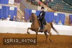 15R12_01704 thumbnail