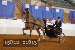 15R12_01813 thumbnail