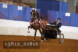 15R12_01816 thumbnail