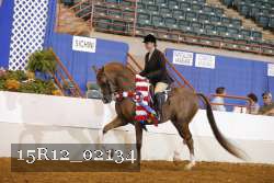 15R12_02134 thumbnail