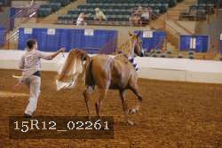 15R12_02261 thumbnail