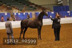 15R12_02599 thumbnail