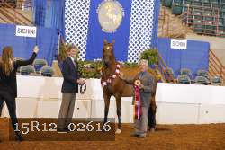 15R12_02616 thumbnail