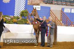 15R12_02668 thumbnail
