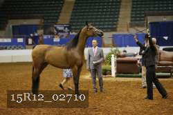 15R12_02710 thumbnail