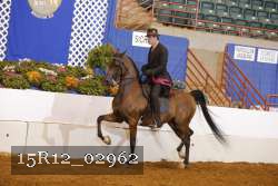 15R12_02962 thumbnail