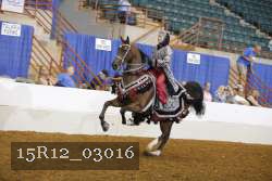 15R12_03016 thumbnail