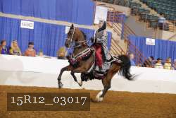 15R12_03017 thumbnail