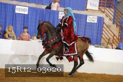 15R12_03020 thumbnail