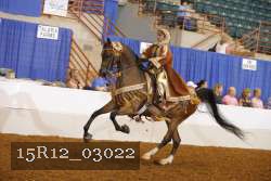 15R12_03022 thumbnail