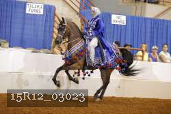 15R12_03023 thumbnail