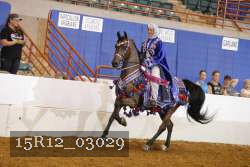 15R12_03029 thumbnail