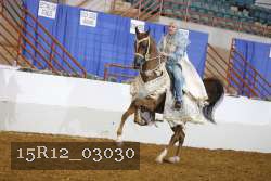15R12_03030 thumbnail