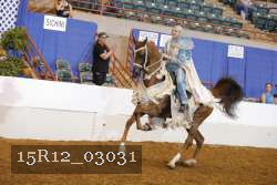 15R12_03031 thumbnail