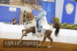 15R12_03032 thumbnail
