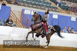 15R12_03033 thumbnail