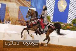 15R12_03034 thumbnail