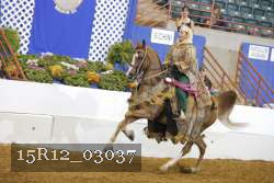 15R12_03037 thumbnail