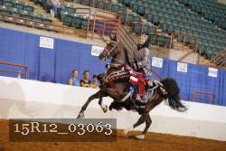 15R12_03063 thumbnail