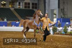 15R12_03366 thumbnail