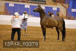 15R12_03379 thumbnail