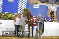 15R12_03397 thumbnail