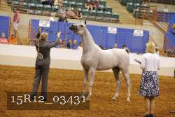 15R12_03431 thumbnail