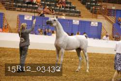 15R12_03432 thumbnail