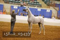 15R12_03433 thumbnail