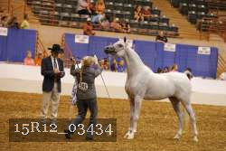 15R12_03434 thumbnail