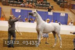15R12_03435 thumbnail
