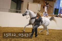 15R12_03437 thumbnail