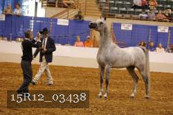 15R12_03438 thumbnail