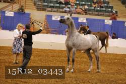 15R12_03443 thumbnail
