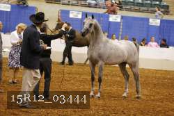 15R12_03444 thumbnail