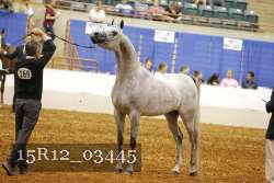 15R12_03445 thumbnail