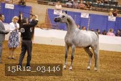 15R12_03446 thumbnail