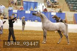15R12_03447 thumbnail