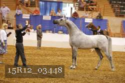 15R12_03448 thumbnail