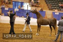 15R12_03449 thumbnail