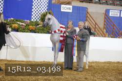 15R12_03498 thumbnail