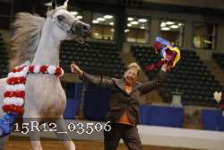 15R12_03506 thumbnail