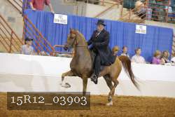15R12_03903 thumbnail