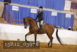 15R12_03978 thumbnail